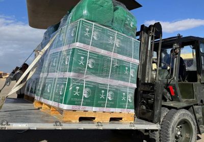 السعودية.. الطائرة الإغاثية الـ77 تصل العريش محمَّلة بالمساعدات لغزة