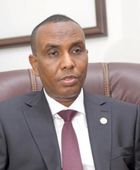 رئيس وزراء الصومال يشيد بدور مصر في القضية الصومالية