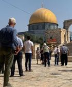 مستوطنون يقتحمون المسجد الأقصى