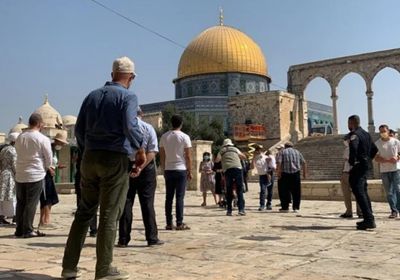 مستوطنون يقتحمون المسجد الأقصى