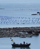 الصين تطلق مناورات بالذخيرة الحية حول تايوان