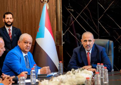 عبدالناصر الوالي: الجنوب يواجه الغزو الرابع