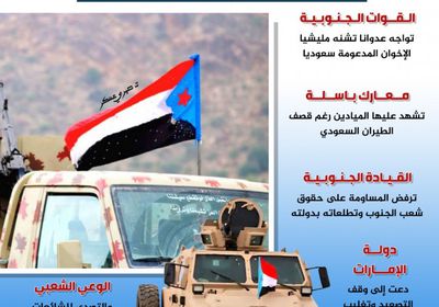 الجنوب يقاتل.. معركة تحسم مستقبل شعب (إنفوجراف)