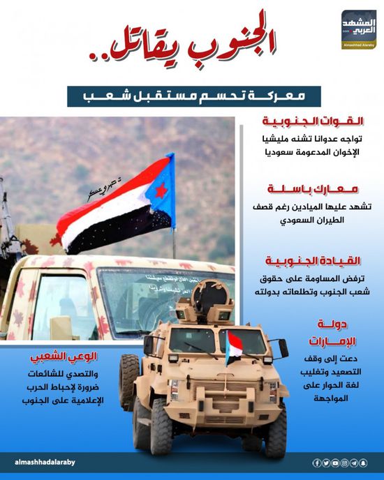 الجنوب يقاتل.. معركة تحسم مستقبل شعب (إنفوجراف)