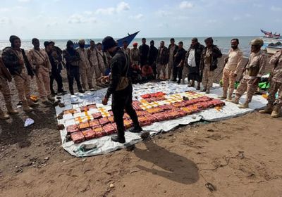 العمالقة الجنوبية تضبط ربع طن مخدرات قبالة سواحل باب المندب