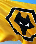 موعد مباراة وولفرهامبتون وشروبري تاون في كأس الاتحاد الإنجليزي 2026