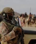 الجيش النيجيري: مقتل عشرات المسلحين في ضربات جوية بولاية بورنو