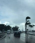 حالة طقس اليوم الخميس 22-1-2026 في مصر