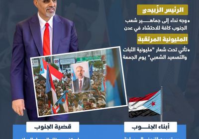 مليونية الثبات.. نداء القائد للشعب (إنفوجراف)