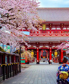 تراجع عدد السياح الصينيين لليابان على خلفية أزمة دبلوماسية