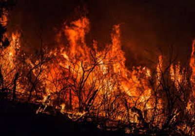 باحثون: دخان حرائق الغابات في نهاية الحمل قد يرتبط بزيادة خطر التوحد