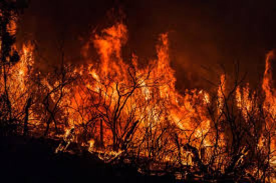 باحثون: دخان حرائق الغابات في نهاية الحمل قد يرتبط بزيادة خطر التوحد