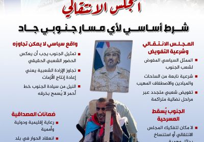 المجلس الانتقالي.. شرط أساسي لأي مسار جنوبي جاد (إنفوجراف)