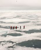 ترامب وستارمر يناقشان تعزيز الأمن في القطب الشمالي