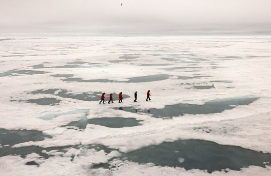 ترامب وستارمر يناقشان تعزيز الأمن في القطب الشمالي