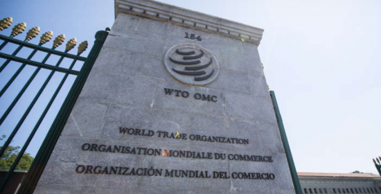 مديرة "التجارة العالمية": النظام الدولي يواجه أخطر أزماته