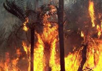 موجة حارة قياسية في أستراليا تؤجج حرائق الغابات