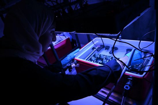 فريق بحثي بـ"نيويورك أبوظبي" ينجز دراسة حول الشعاب المرجانية