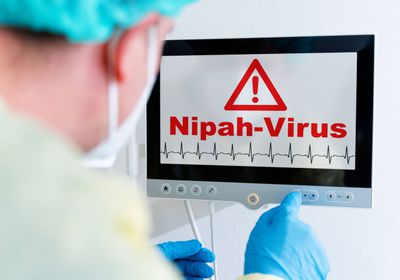 سنغافورة تعزز إجراءات الفحص الصحي بمطار تشانغي بعد تفشي فيروس نيباه