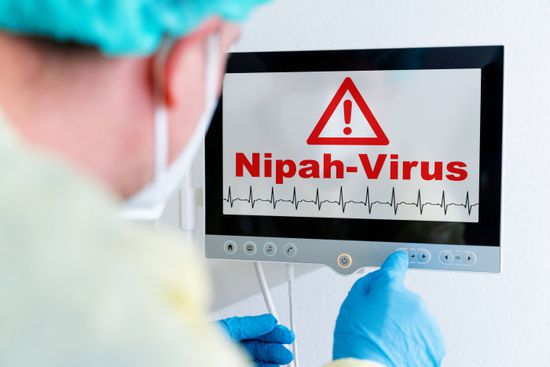 سنغافورة تعزز إجراءات الفحص الصحي بمطار تشانغي بعد تفشي فيروس نيباه