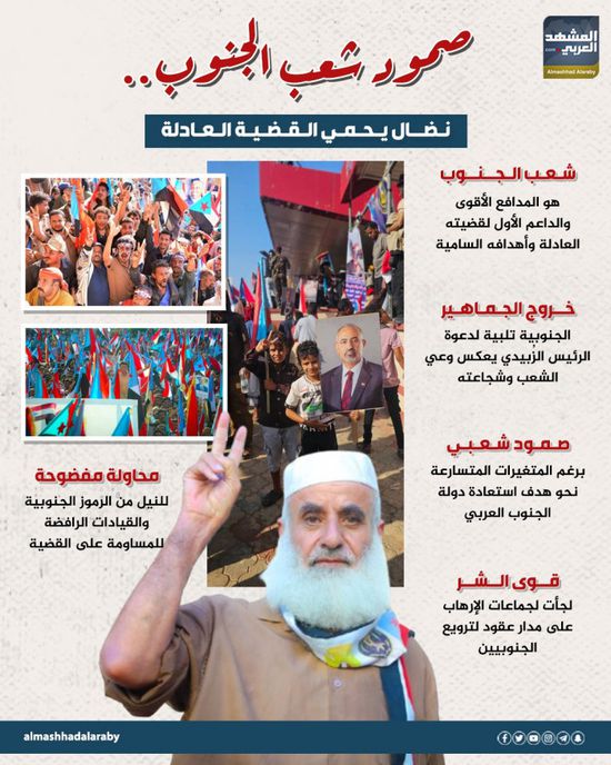 صمود شعب الجنوب.. نضال يحمي القضية العادلة (إنفوجراف)