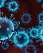 الهند تبلغ عن إصابتين مؤكدتين بفيروس نيباه