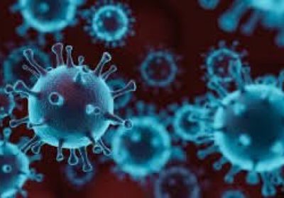 الهند تبلغ عن إصابتين مؤكدتين بفيروس نيباه