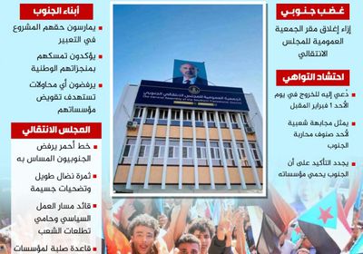 الجنوب والمجلس الانتقالي.. نضال شعبي لحماية الإرادة (إنفوجراف)