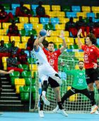 على حساب تونس.. منتخب مصر يتوج ببطولة كأس الأمم الأفريقية لليد