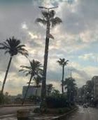 حالة طقس اليوم الثلاثاء 3-2-2026 في مصر