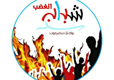 شباب الغضب: مسيرة سيئون وفاء لدماء الشهداء وتضحياتهم