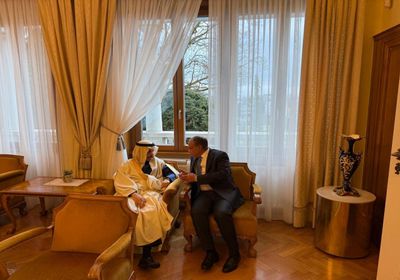 وزير الخارجية المصري ونظيره السعودي يبحثان المستجدات الإقليمية