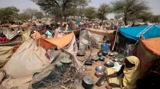 كبير مستشاري ترامب: نمهد لهدنة إنسانية في السودان