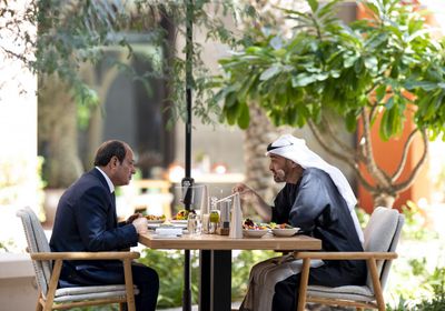 رئيس الإمارات ونظيره المصري يبحثان التطورات في المنطقة