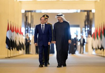 قرقاش يعلق على زيارة الرئيس السيس إلى الإمارات