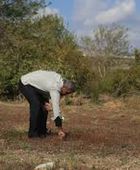 مبيدات إسرائيلية تهدد الزراعة في سوريا