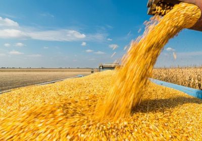 حصاد الحبوب الروسي يسجل 142 مليون طن