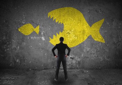 "شل" تستبعد الحاجة لعمليات استحواذ جديدة 