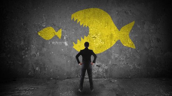 "شل" تستبعد الحاجة لعمليات استحواذ جديدة 