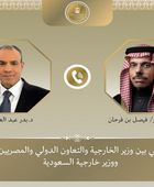 وزير الخارجية المصري ونظيره السعودي يؤكدان قوة الروابط الأخوية بين البلدين