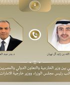 هاتفياً.. وزير الخارجية المصري يبحث مع نظيره الإماراتي مستجدات الأوضاع الإقليمية