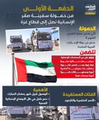 الدفعة الأولى من حمولة سفينة صقر الإنسانية تصل إلى قطاع غزة (إنفوجراف)