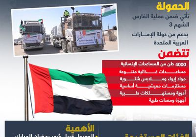 الدفعة الأولى من حمولة سفينة صقر الإنسانية تصل إلى قطاع غزة (إنفوجراف)