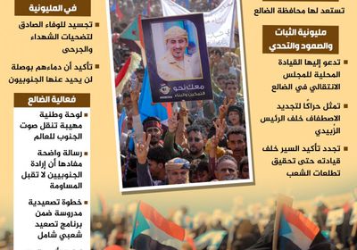 مليونية الضالع.. نضال يتجدد لشعب يحمي إرادته (إنفوجراف)