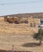 مستوطنون يستولون على مئات الدونمات من الأراضي الفلسطينية