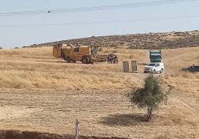 مستوطنون يستولون على مئات الدونمات من الأراضي الفلسطينية