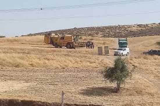 مستوطنون يستولون على مئات الدونمات من الأراضي الفلسطينية