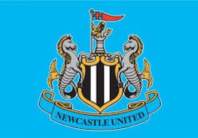 نتيجة مباراة كارباج أجدام ونيوكاسل في دوري أبطال أوروبا 2026