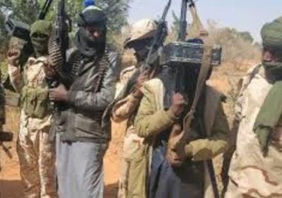 مجلس الأمن يدين الهجوم الإرهابي على ولاية كوارا في نيجيريا