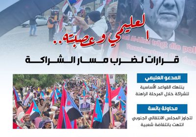 العليمي وعصبته.. قرارات لضرب مسار الشراكة (إنفوجراف)